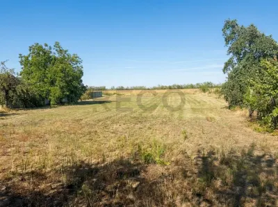 RECO Teren intravilan de vanzare in Gepiu – 2.878 mp - foto 4