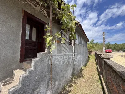 Casa batraneasca cu 3 camere si teren de 841mp, in Racastie, Hunedoara - foto 3