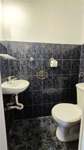 VIDEO | Central - Casa individuala cu 5 camere - 168 mÂ² | Avram Iancu - foto 8