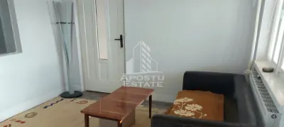 Casa Spatioasa cu Teren Generos in Vladimirescu - foto 12