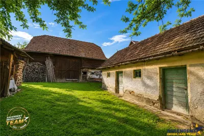 FILM! Casa si anexe, pe domeniu de 6.221mp,  livada pomi fructiferi, Lemnia, Covasna - foto 10