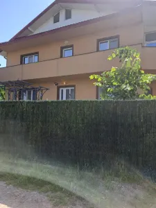 Casa/Vila Bucium - 1700 euro - Iasi