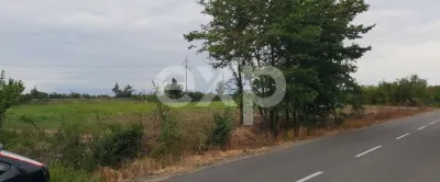 Teren intravilan 4.800 mp – lângă Autostrada Pitești - SuperNova - foto 3