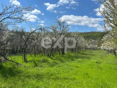 Casă la țară | Com Cocu | cu teren 3940 mp și livadă – zonă liniștită - foto 4