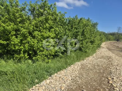 De vanzare teren la super pret in Albota, Cerbu, Arges - foto 3