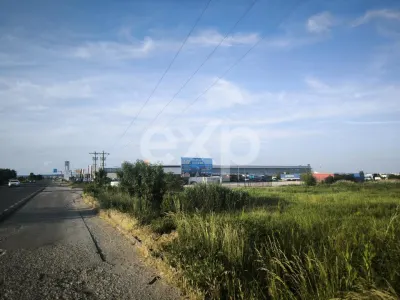 ALBOTA | Teren intravilan 21.494 mp | Deschidere DN65 – 107 ml | Utilități - Albota