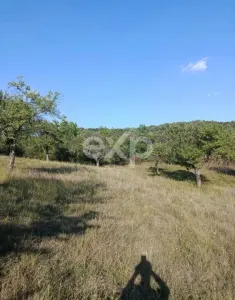 Teren extravilan de vânzare Tigveni | 4.944 mp | Panoramă superbă - foto 4