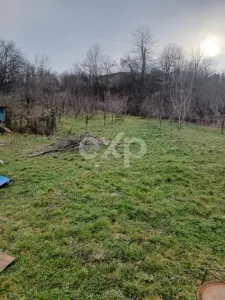 Teren de vânzare – Dragodănești , 1.600 mp - foto 3