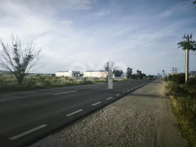 ALBOTA | Teren intravilan 4.000 mp | Deschiderea la drum asfaltat 39 ml - Albota