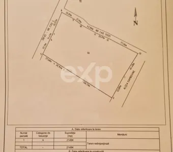 Teren intravilan 11.600 mp | Front 115 ml | Zona Europa – Albota lângă Mercedes - foto 6