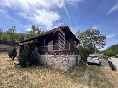 Casa batraneasca, renovata complet, teren 640mp, in Dabaca, Hunedoara - foto 8