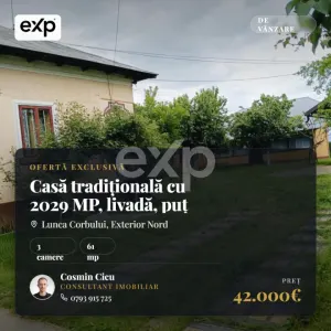 Casă tradițională cu 2029 MP, livadă, puț propriu - Lunca Corbului