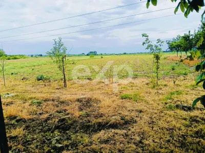 Casă tradițională cu 2029 MP, livadă, puț propriu - foto 9