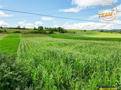 Oportunitate de investitie, PUZ aprobat: zona servicii - foto 2