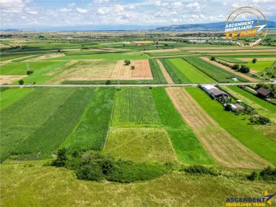 Oportunitate de investitie, PUZ aprobat: zona servicii - foto 9