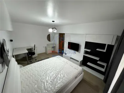 Apartament 1 camera Alexandru cel Bun - foto 2