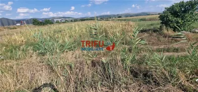 Teren intravilan 5.756 mp cu acces direct la Șoseaua de Centură – Alba Iulia, zonă industrială - foto 6