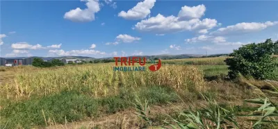 Teren intravilan 5.756 mp cu acces direct la Șoseaua de Centură – Alba Iulia, zonă industrială - foto 7