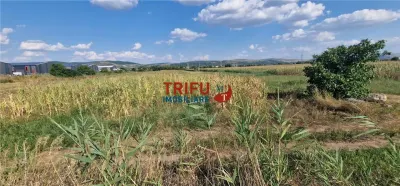 Teren intravilan 5.756 mp cu acces direct la Șoseaua de Centură – Alba Iulia, zonă industrială - foto 8