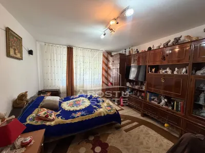 Apartament cu 3 camere de vanzare,decomandat , Zona Lipovei,Timisoara - Timisoara