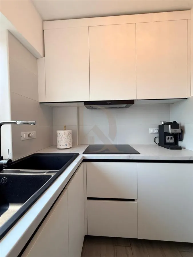 Centru - A Panu Judecatorie , apartament de vanzare cu 1 camera - foto 9