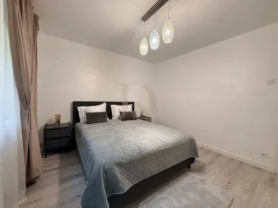 Prima Inchiriere! Centru Hala Centrala , 2 camere , totul nou ! - foto 15