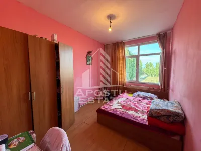 Apartament cu 1 camera de vanzare , etaj intermediar, Blascovici - Timisoara