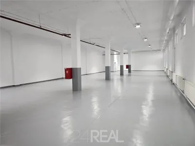 Spatii depozitare, productie, birouri, showroom-uri - de la 450 mp - foto 6