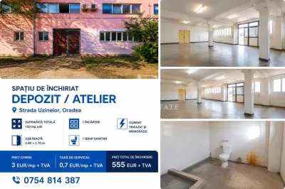 Antony Estate | Hale, Depozite & Birouri de Închiriat | 30 - 500 mp | Oradea - foto 4