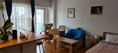 Garsoniera de închiriat, Nerva Traian - foto 6