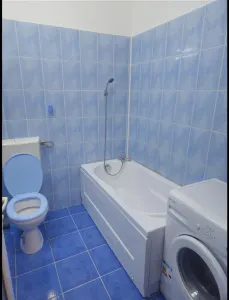 Garoniera Giurgiului - foto 6