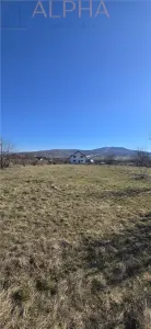 Teren intravilan 1.250 mp – Unirea, BN - foto 4