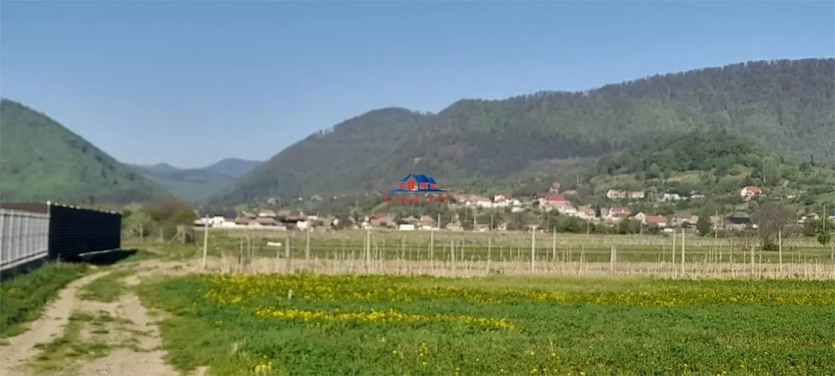Teren in com. Oituz, 3 euro/mp - foto 1