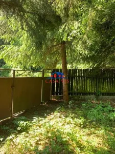 Teren in com. Oituz 6 euro/mp VANDUT !!! - foto 3