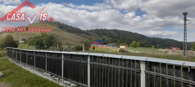 Teren in Onesti/VANDUT 0742 801 123, com. Casin - foto 5