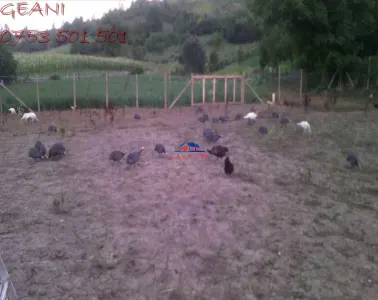 Casa in Onesti/VANDUTA 0742 801 123, com. Bogdanesti - foto 15