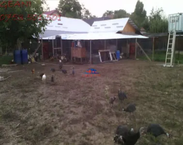 Casa in Onesti/VANDUTA 0742 801 123, com. Bogdanesti - foto 5