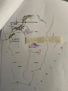 Padure de vanzare in jud Bacau zona Asau - foto 3
