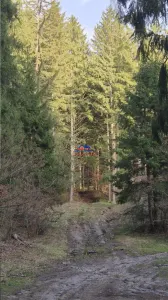 Teren cu padure in com. Caiuti - foto 2