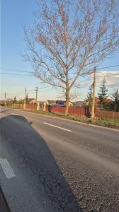 Teren in com. Oituz stradal'' 50 euro/mp - foto 3