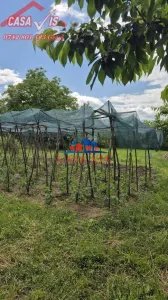 Gospadarie  langa Onesti pentru doua famillii - foto 17