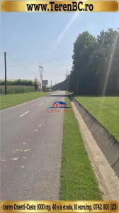 Teren la iesire din Onesti spre Casin, partea dreapta dupa ciusmea - Casin