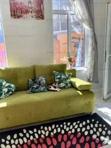 Vila P+M, zona Centru Istoric 170mp utili + teren 217mp  Bine Pozitionata! - foto 7
