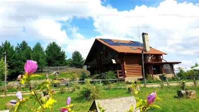 RATE Pensiune 12 cam Superba*** malul Lac Mocearu piscina ,16277mp - foto 7