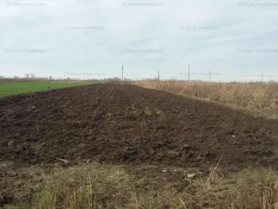 Teren intravilan de constructii, Chiscani, St- 3000 mp - foto 2