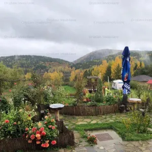 RATE Pensiune Piscina Superba***pe mal Lac Mocearu  70km de Buzau - foto 7