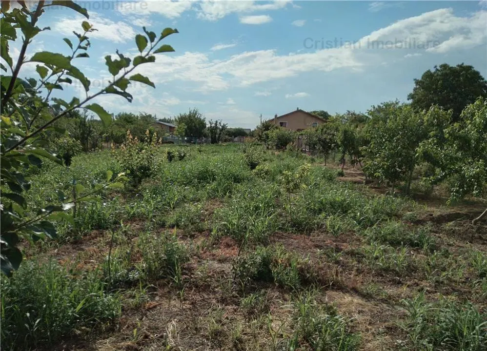 Teren 1750 mp, zona Cazasu - foto 2