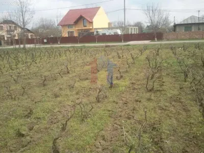 25E/mp Teren intravilan  Chiscani drum asfaltat 3500 mp deschidere 14m - Chiscani
