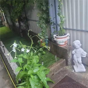 Casa 5 camere, suprafata teren 200 mp, zona Piata Saraca - foto 8