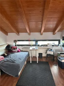 DUPLEX 3 cam Minerva 145 mp mobilat utilat - foto 4